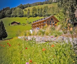 Chienehuus, Berner Oberland, Kiental